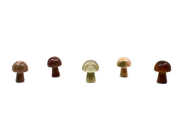 Polychome Jasper Mini Mushroom